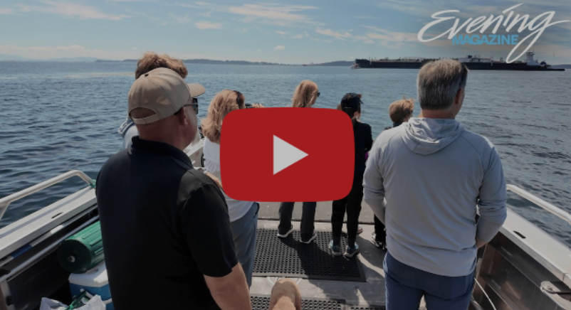 KING 5 Showcases Island Opportunity Charters and the San Juan Islands